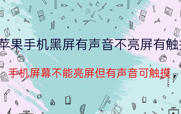 苹果手机黑屏有声音不亮屏有触摸 手机屏幕不能亮屏但有声音可触摸？